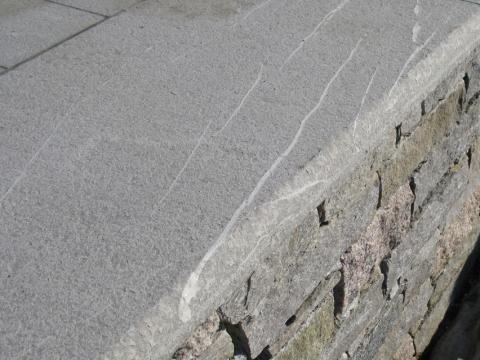 immagine del settore