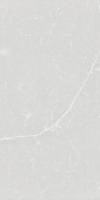 Silestone® Desert Silver